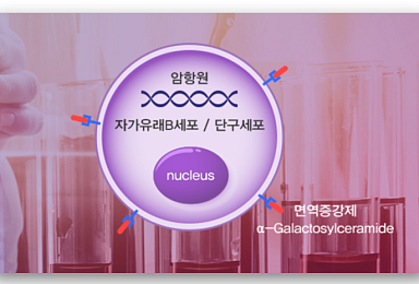 셀리드, LG화학에 '신항원 암백신' 