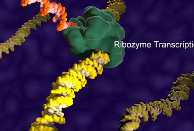 GC녹십자-목암, 알지노믹스와 RNA 플랫폼 개발MOU