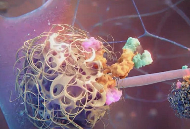 아이피에스, 에이비엘과 'iPSC 모델' 효능연구 MOU