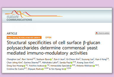 포스텍 연구팀, 효모 추출 'MGCP' 