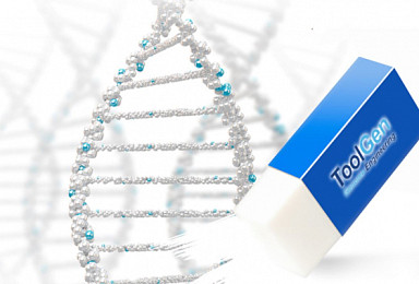툴젠, ‘CRISPR RNP’ 포유류세포 도입 특허 