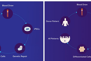 에스씨엠, 비타 '3200만弗 시리즈A'에 