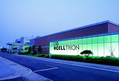 셀트리온홀딩스, 헬스케어홀딩스·스킨큐어 흡수합병