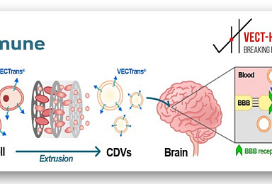 엠디뮨, 佛벡트-호러스와 CNS 대상 약물전달기술 개발