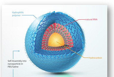 바이오니아 써나젠, RNAi 비임상 “안전성 확인”