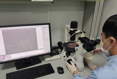 대구첨복, '염증치료 엑소좀 기술' 셀렉소에 L/O
