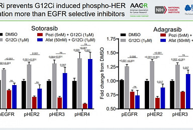 스펙트럼, '포지오티닙+KRAS 저해제' 
