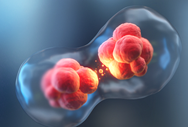 GC녹십자랩셀, '줄기세포' ARDS 국내1상 IND 승인