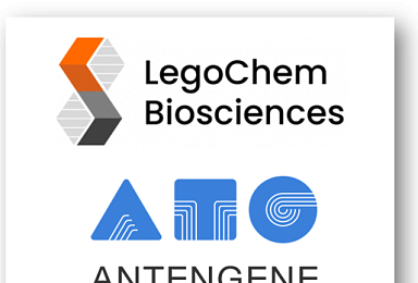 레고켐, 中안텐진과 