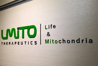 엘마이토, '면역대사 조절' IBD 신약 