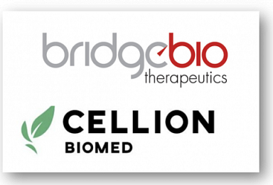 브릿지, 셀라이온과 이온채널 ‘섬유화 신약’ 
