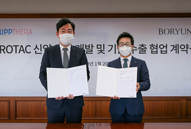 업테라, 보령과 다발성골수종 TPD “공동개발 계약”