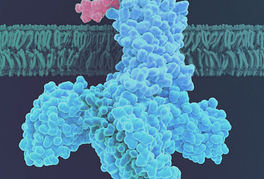 ‘비만’ 카일레라, 시리즈B 6억弗..올해 “최대규모 펀딩”