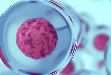 GC셀 아티바, ‘NK세포’ RA “FDA 패스트트랙 지정”