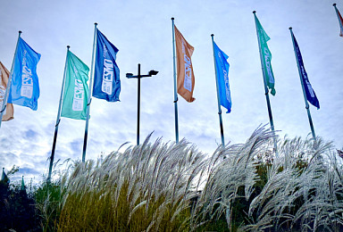 머크-켈룬, ‘TROP2 ADC’ 폐암 中3상 “OS 40%개선”