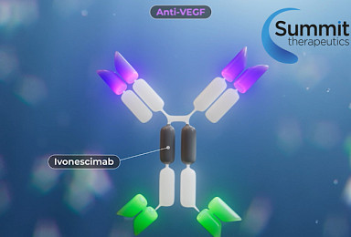 서밋, PD-1xVEGF 'OS 실패' 불구 “美 허가신청 추진”