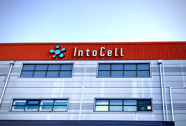 인투셀, 'B7-H3 ADC' 고형암 1상 