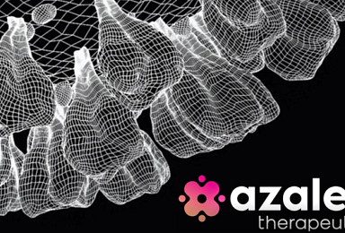 ‘다우드나’ 아젤리아, 8200만弗 출범..