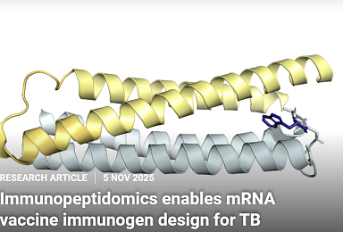 MIT 연구팀, ‘결핵백신’ 100년만에 “新타깃 발견”