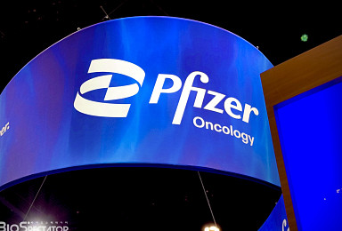 화이자, TOP1 '메소텔린 ADC' 중단..초기 항암제 2건도