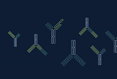 서드아크, 中아다진과 ‘마스킹 TCE’ 8.45억弗 딜