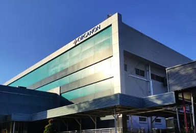 오가논, '퍼제타 시밀러' 첫 