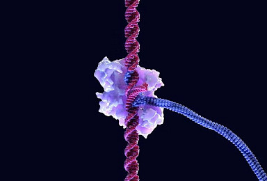 리제네론, 테세라 ‘MGE 편집약물’ 계약금 1.5억弗 “베팅”