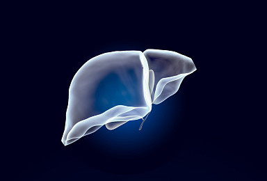 미럼, 블루제이 8.2억弗 인수..‘D형간염 항체’ 3상 개발