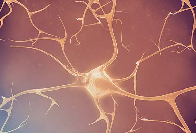 AC이뮨, ‘α-syn 백신’ PD 2상 