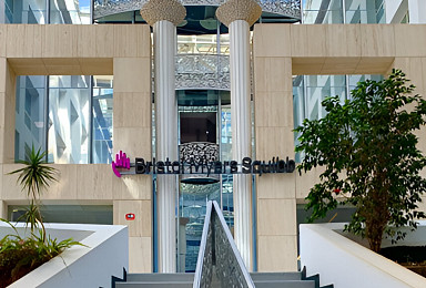 BMS, 中하버와 '차세대 다중항체' 발굴 11억弗 딜