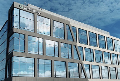 사이토키네틱스 