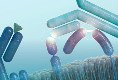 제나스, ‘이중타깃 항체’ 자가면역 3상 “기대 이하”