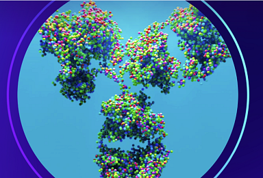 알베우스, 비만 