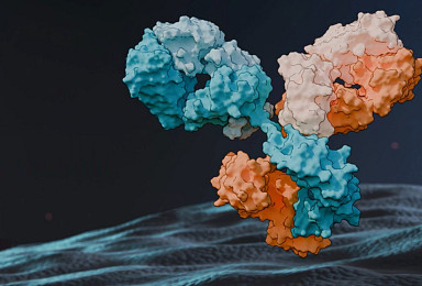 에피바이오, 시리즈B 1.07억弗..EGFR ‘이중항체 TPD’
