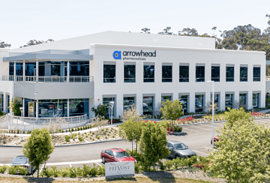 애로우헤드, 지방축적 타깃 'siRNA' 비만서 