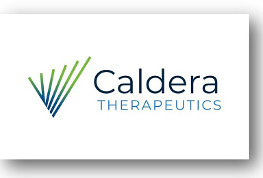 ‘릴리 피인수’ 모픽팀 창업 칼데라, 1.125억弗 펀딩 “출범”