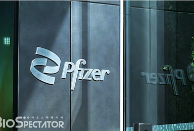 화이자 CEO 