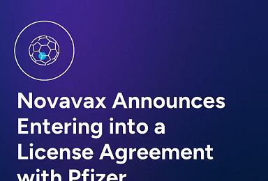 화이자, 노바백스 ‘사포닌 면역증강제’ 도입 5.3억弗 딜