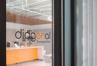 디아고날, 시리즈B 1.25억弗..'클러스터링 항체' 임상