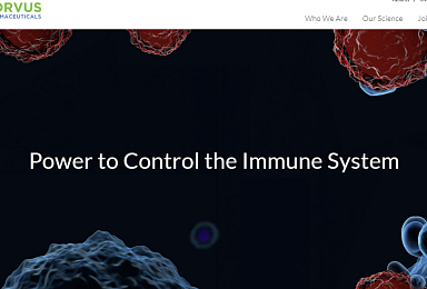 코르부스, ‘ITK 저해제’ 아토피 1상 
