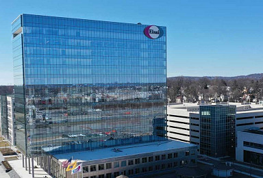 에자이, ‘레켐비SC’ 시작치료 라벨 “FDA 우선심사”