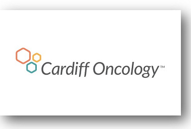 카디프, ‘PLK1’ 2상 “혼재결과, 의구심↑”..CEO 사임