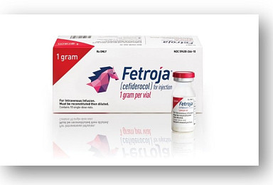 제일약품, 슈퍼 항생제 '페트로자' 국내 출시