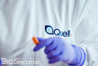 쿠엘, HLA-A2 타깃 ‘CAR-Treg’ 간이식 1/2상 