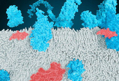 카일레라, ‘경구 GLP-1/GIP' 비만 中2상 
