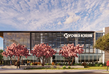 쿄와기린, 안전성 검토後 '결국' OX40 항체 