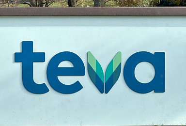 테바, ‘사노피 공동개발’ TL1A항체 블랙스톤서 