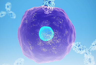 캔디드 '본게임', 역합병 5억弗 조달..