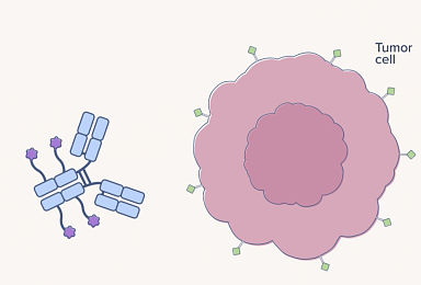 자이어, 컬젠 3억弗 인수합병..DAC·TPD 개발에 “집중”