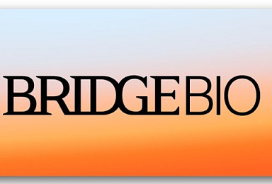 美브릿지, ‘리비톨’ 희귀근질환 3상 추가분석도 “히트”